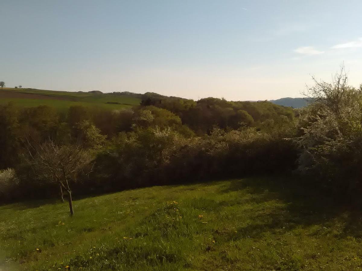 Ferienwohnung Barzen Ralingen Bagian luar foto