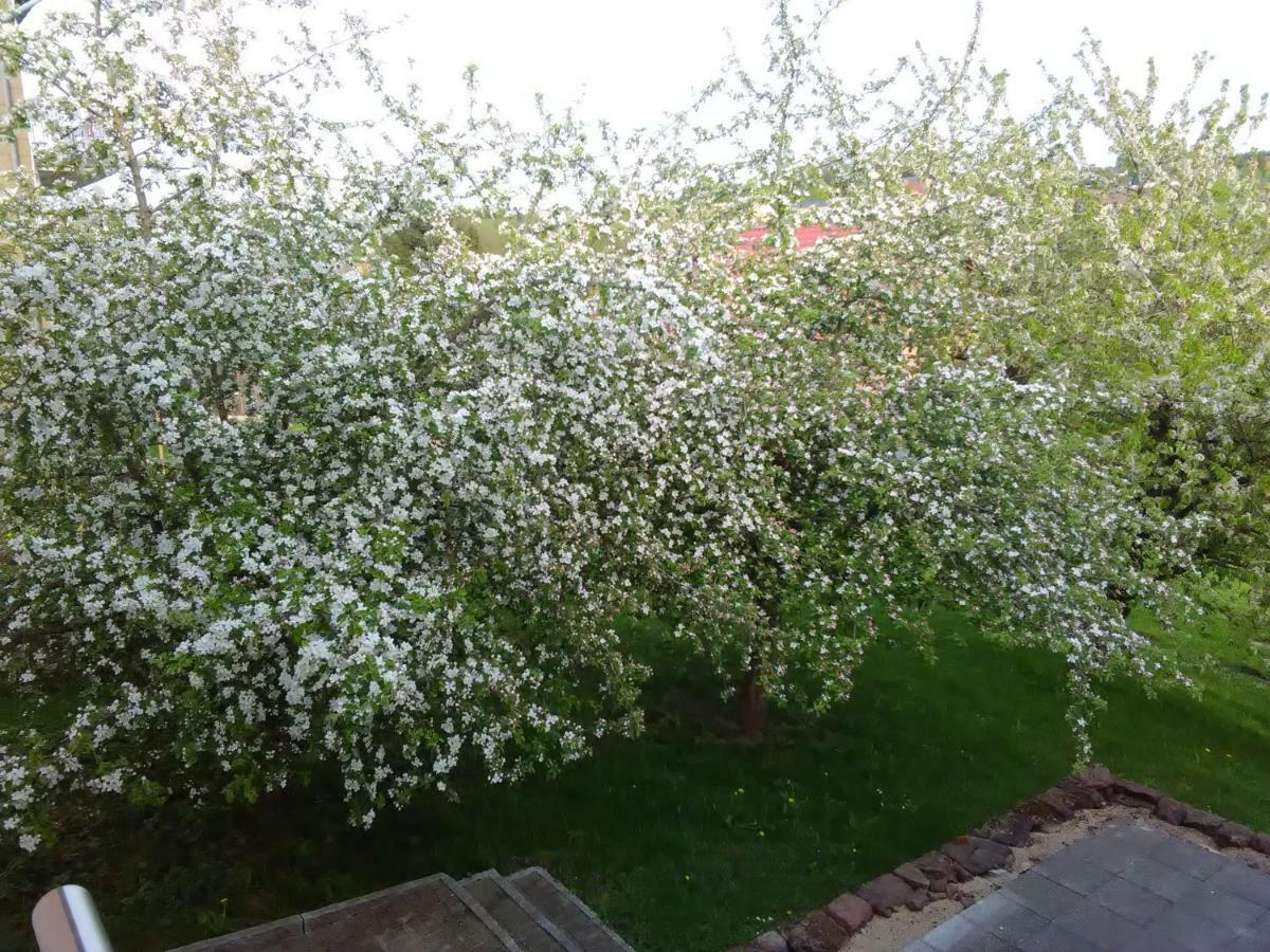 Ferienwohnung Barzen Ralingen Bagian luar foto